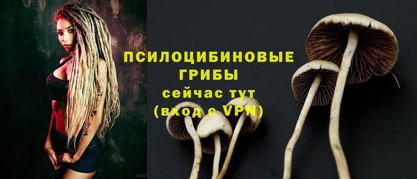 ПСИЛОЦИБИНОВЫЕ ГРИБЫ Покровск