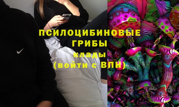 ПСИЛОЦИБИНОВЫЕ ГРИБЫ Покровск