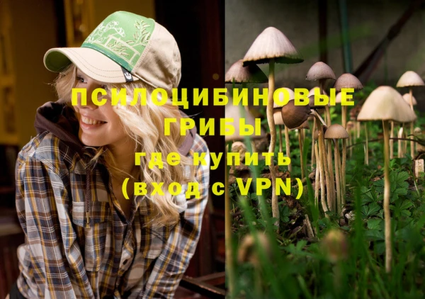 таблы Покачи