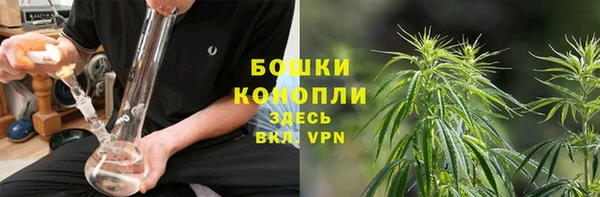 спайс Вуктыл