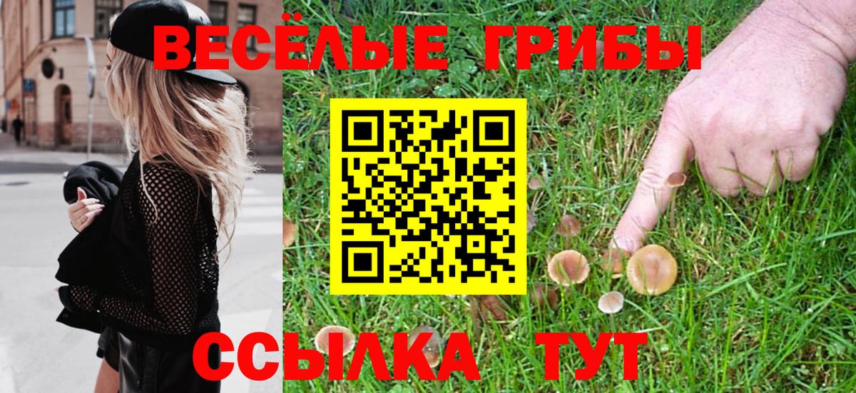 Галлюциногенные грибы GOLDEN TEACHER  Галлюциногенные грибы MAGIC MUSHROOMS  продажа наркотиков  Нижневартовск 