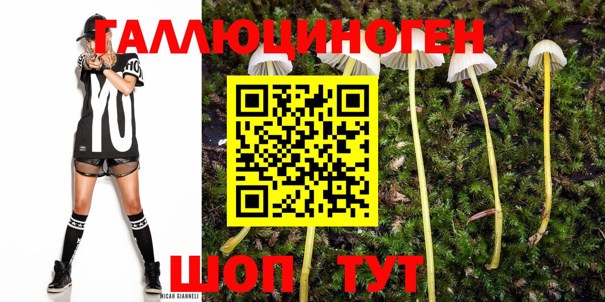 Псилоцибиновые грибы GOLDEN TEACHER  Вход с VPN  цены наркотик  Псилоцибиновые грибы MAGIC MUSHROOMS  Нижневартовск 