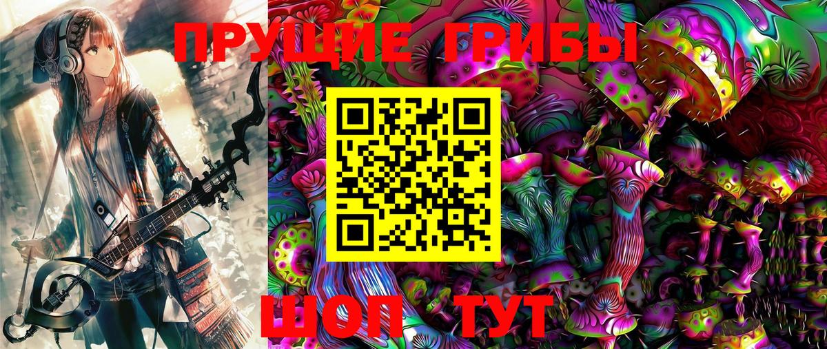 Галлюциногенные грибы Psilocybine cubensis Нижневартовск